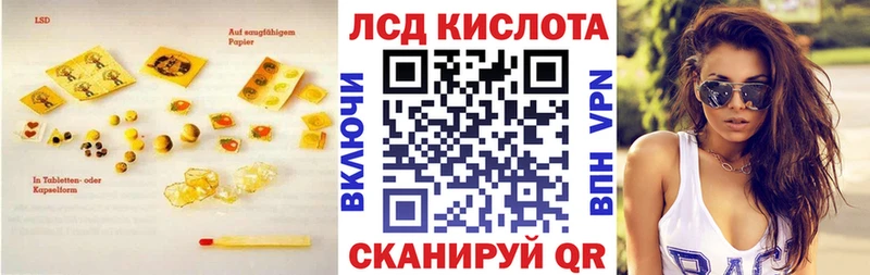 shop как зайти  omg ССЫЛКА  Жердевка  Лсд 25 экстази кислота 